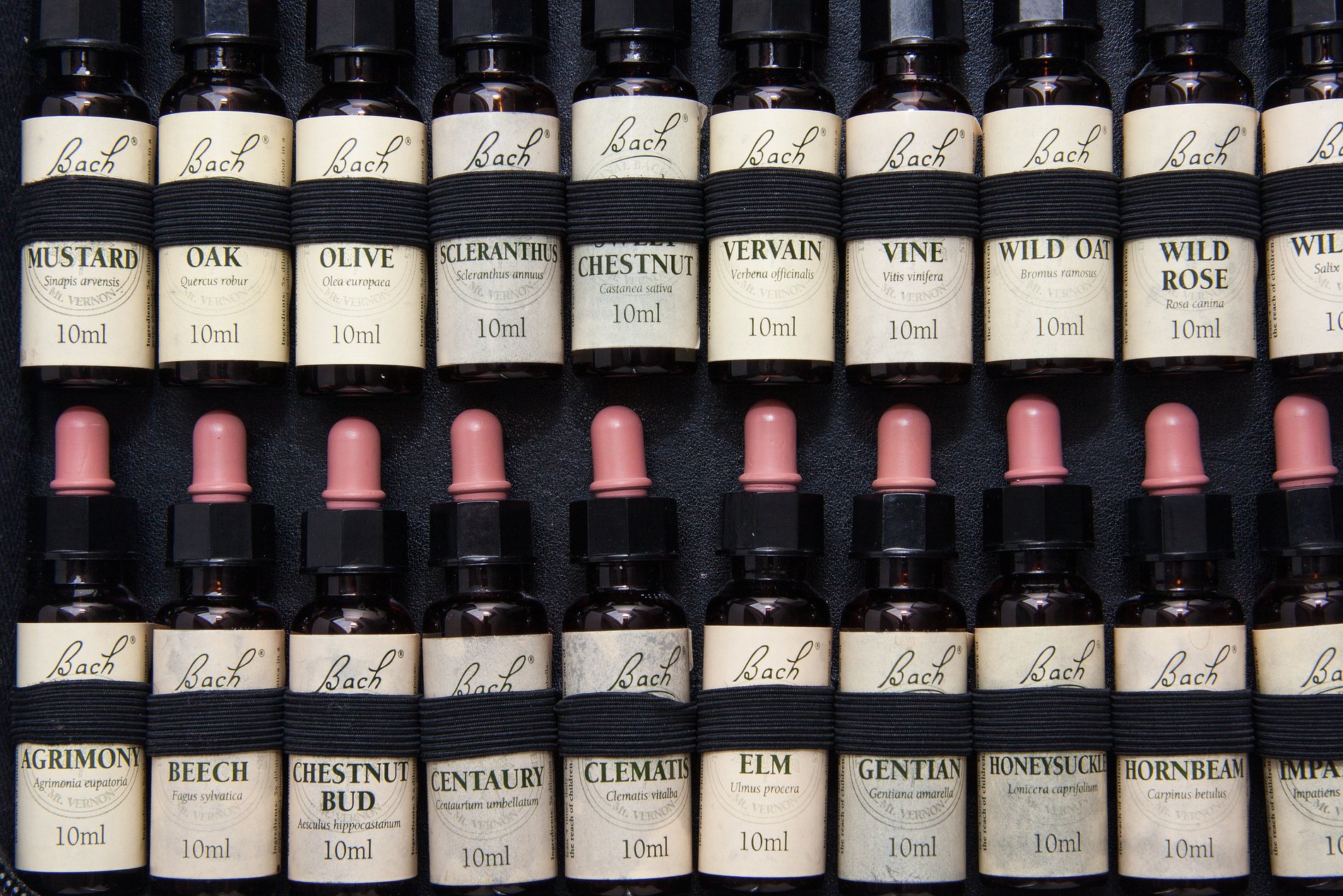 Old Bach Flower Bottles